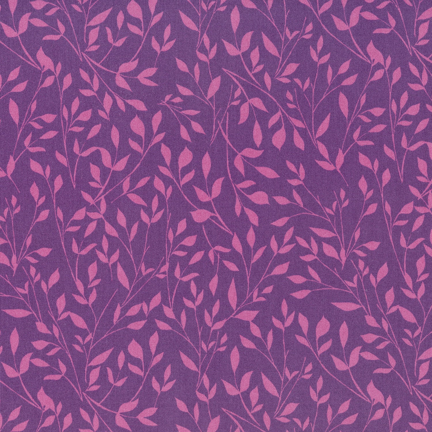 Color Me Pretty - Meadow Grape