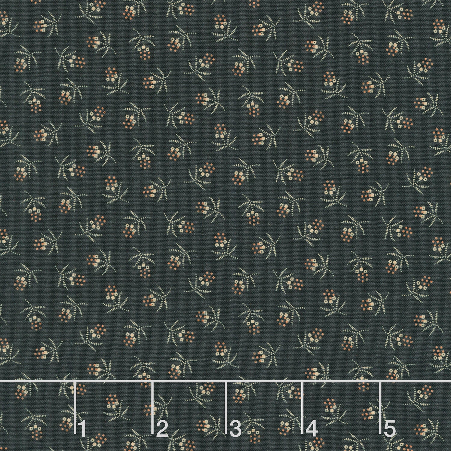 Cheddar & Coal III - Berries Black