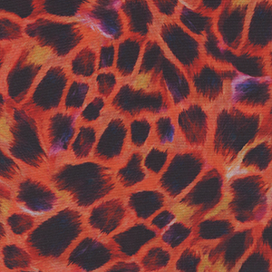 Giraffe Safari