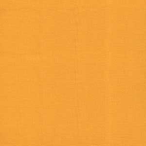 Bella Solids