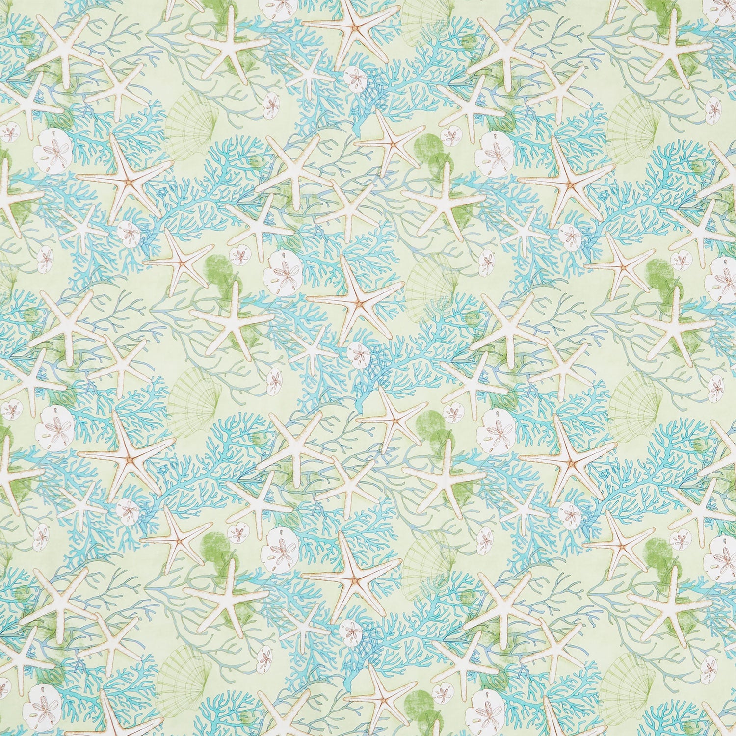 Serena Shores - Beachcomber Kelp