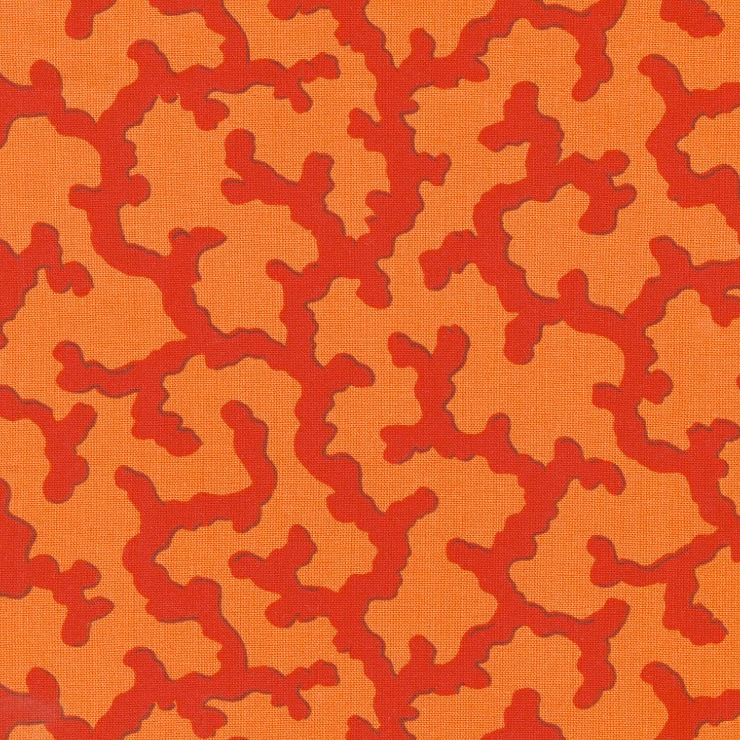 Kaffe Fassett Collective - February 2025 Warm Colorway Coral Red