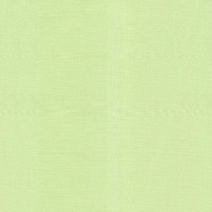Bella Solids