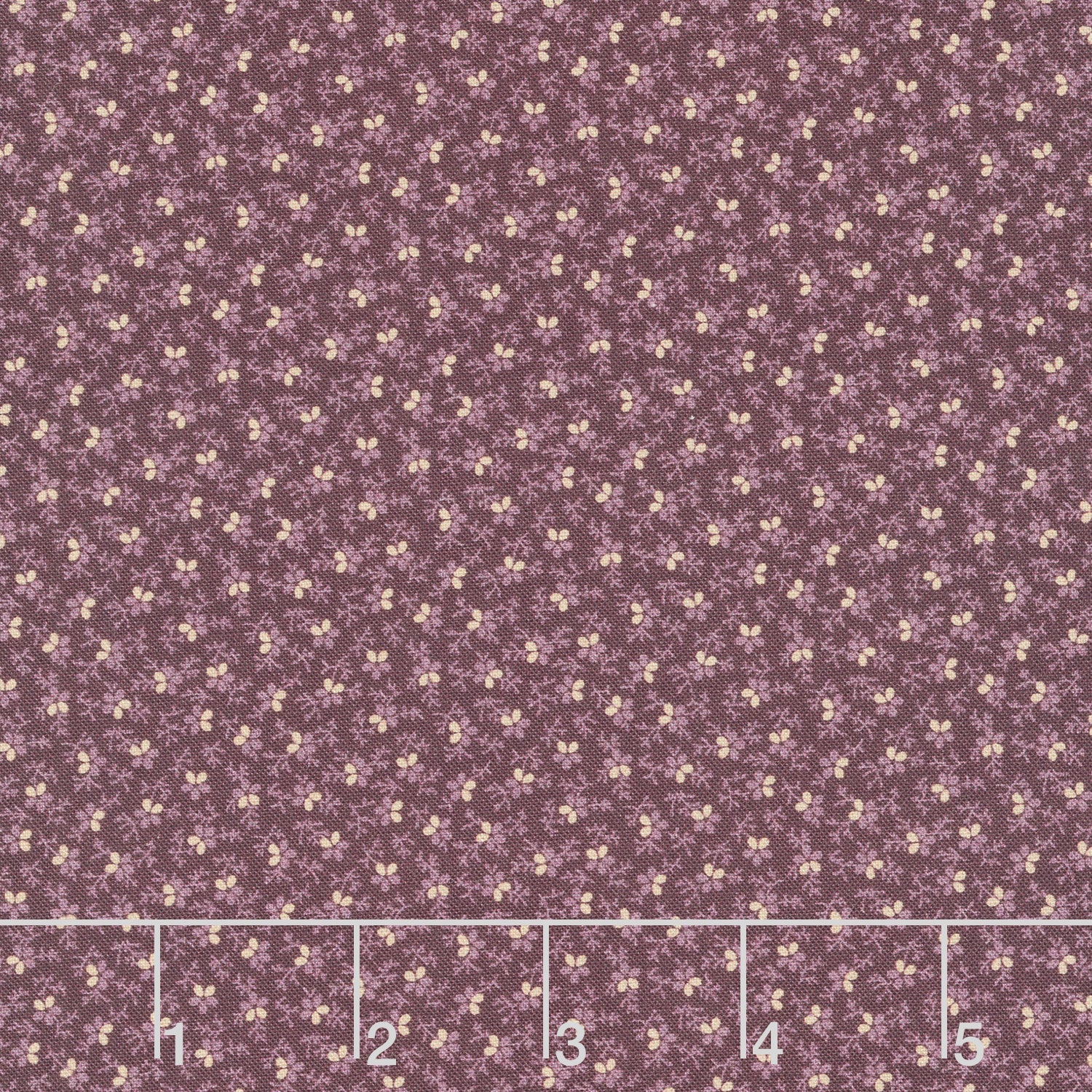 Plumberry III - Ground Cover Plum