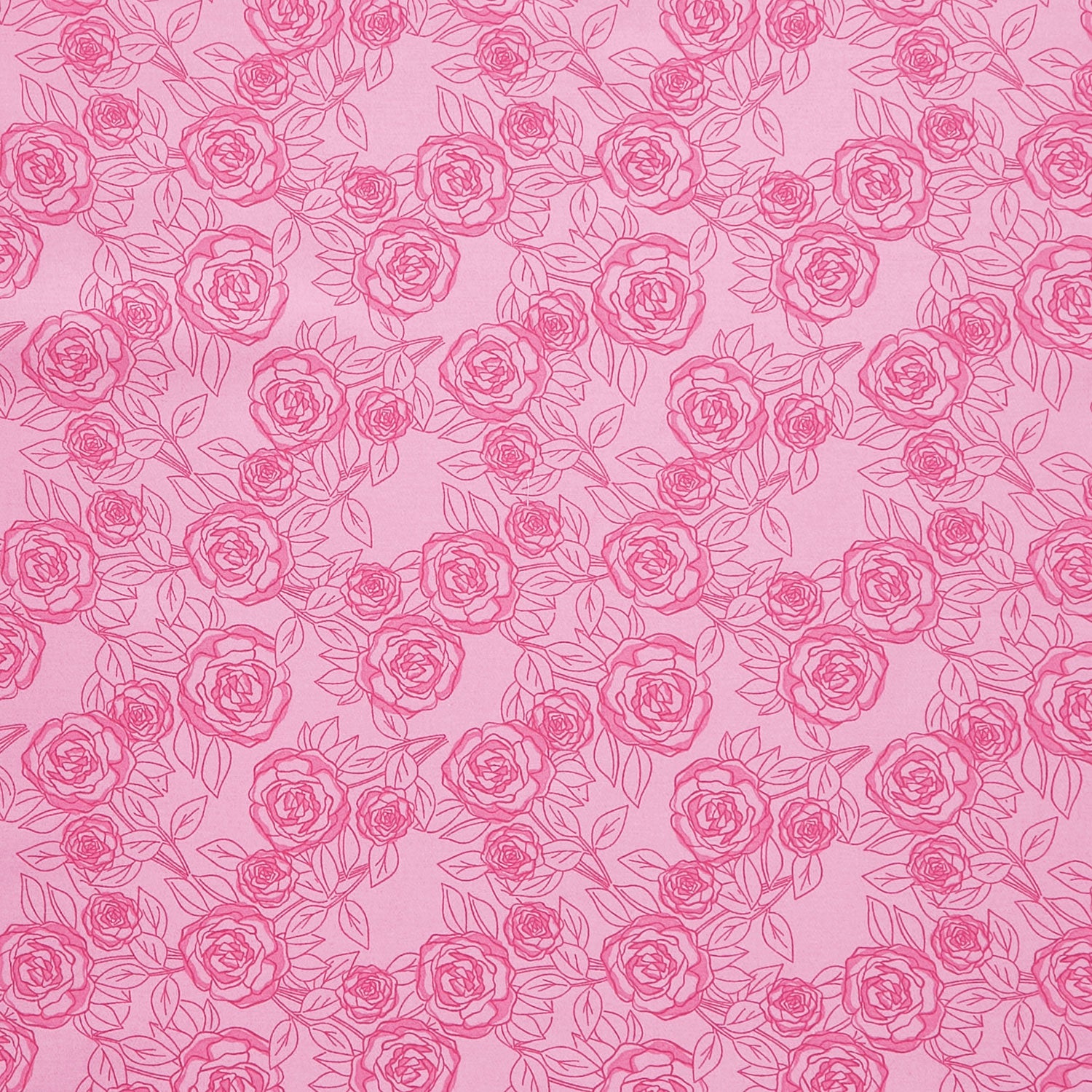 Color Me Pretty - Rose Bloom Rose