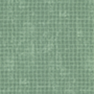 Pickleball Champ - Fat Quarter