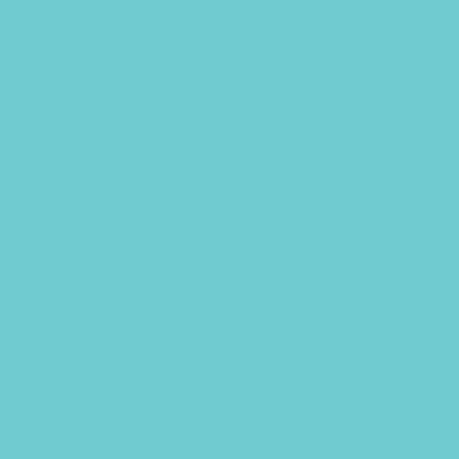 Colorworks Premium Solids - Aruba