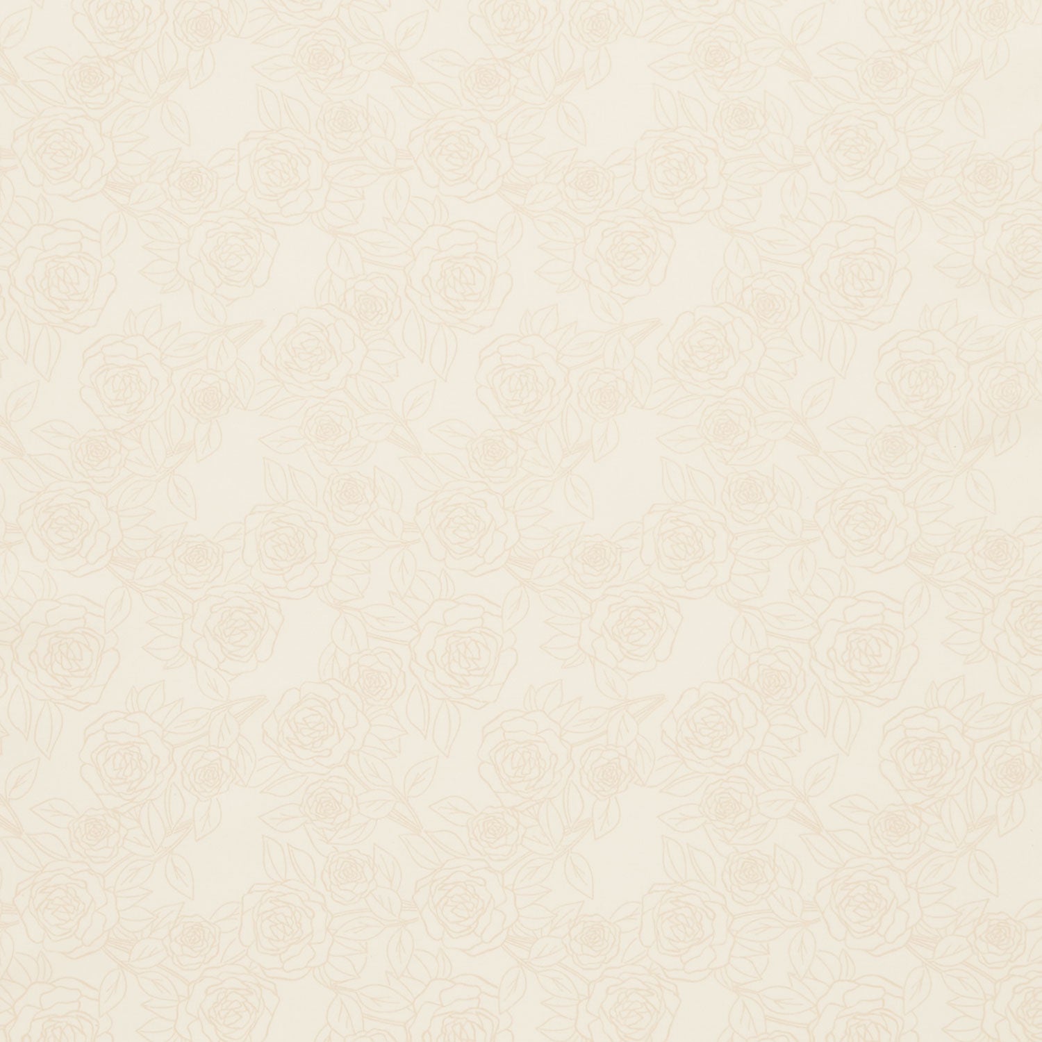 Color Me Pretty - Rose Bloom Cream