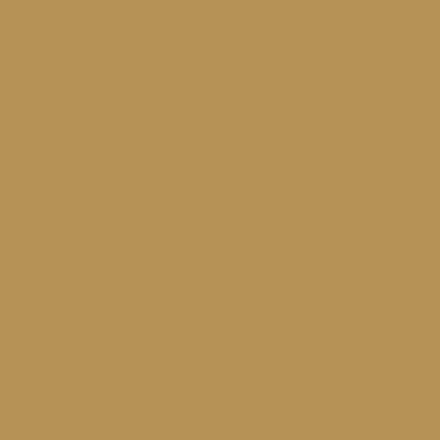 Colorworks Premium Solids - Buckskin
