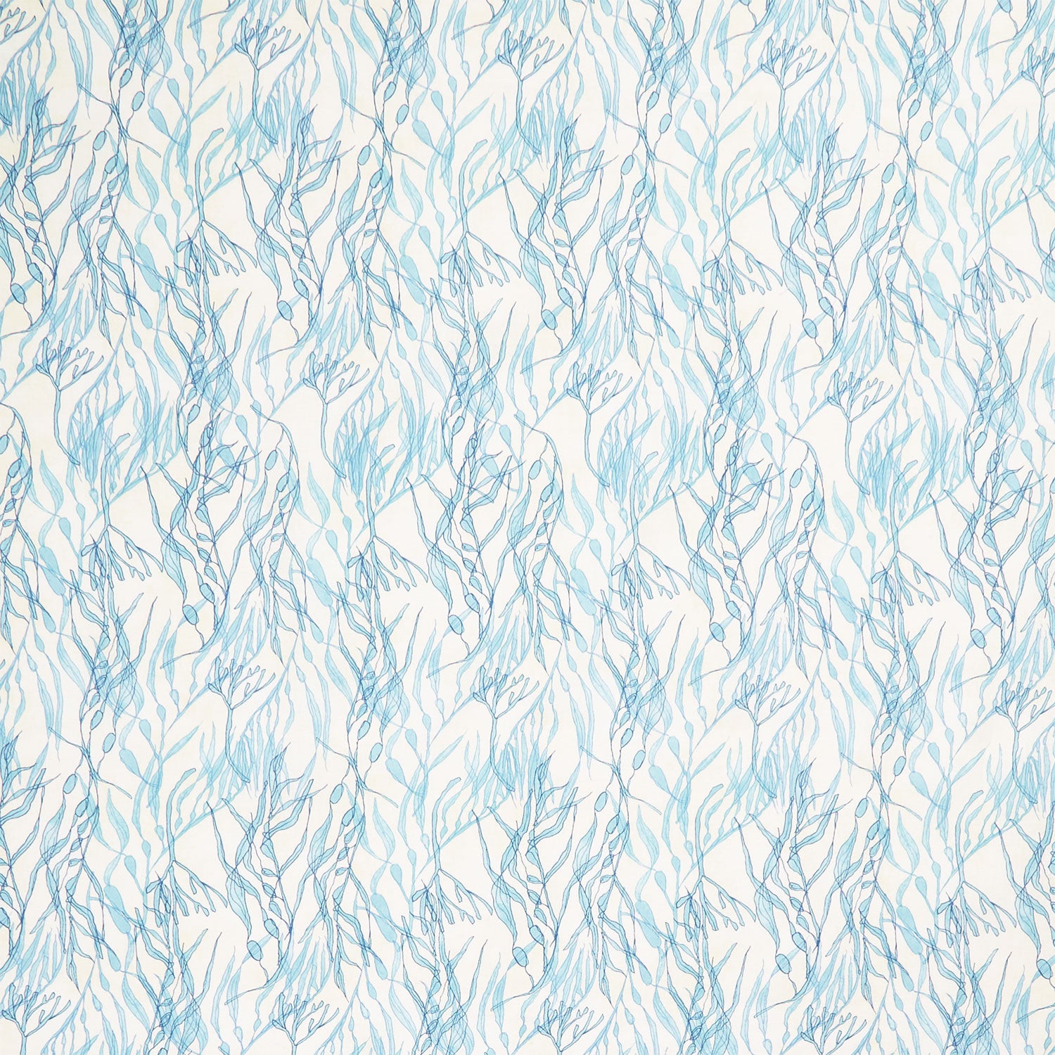 Serena Shores - Seaweeds Cloud