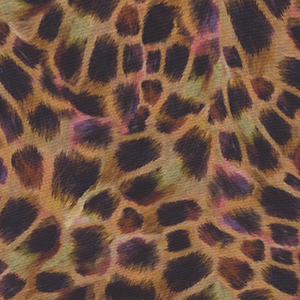 Giraffe Safari
