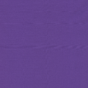 Bella Solids