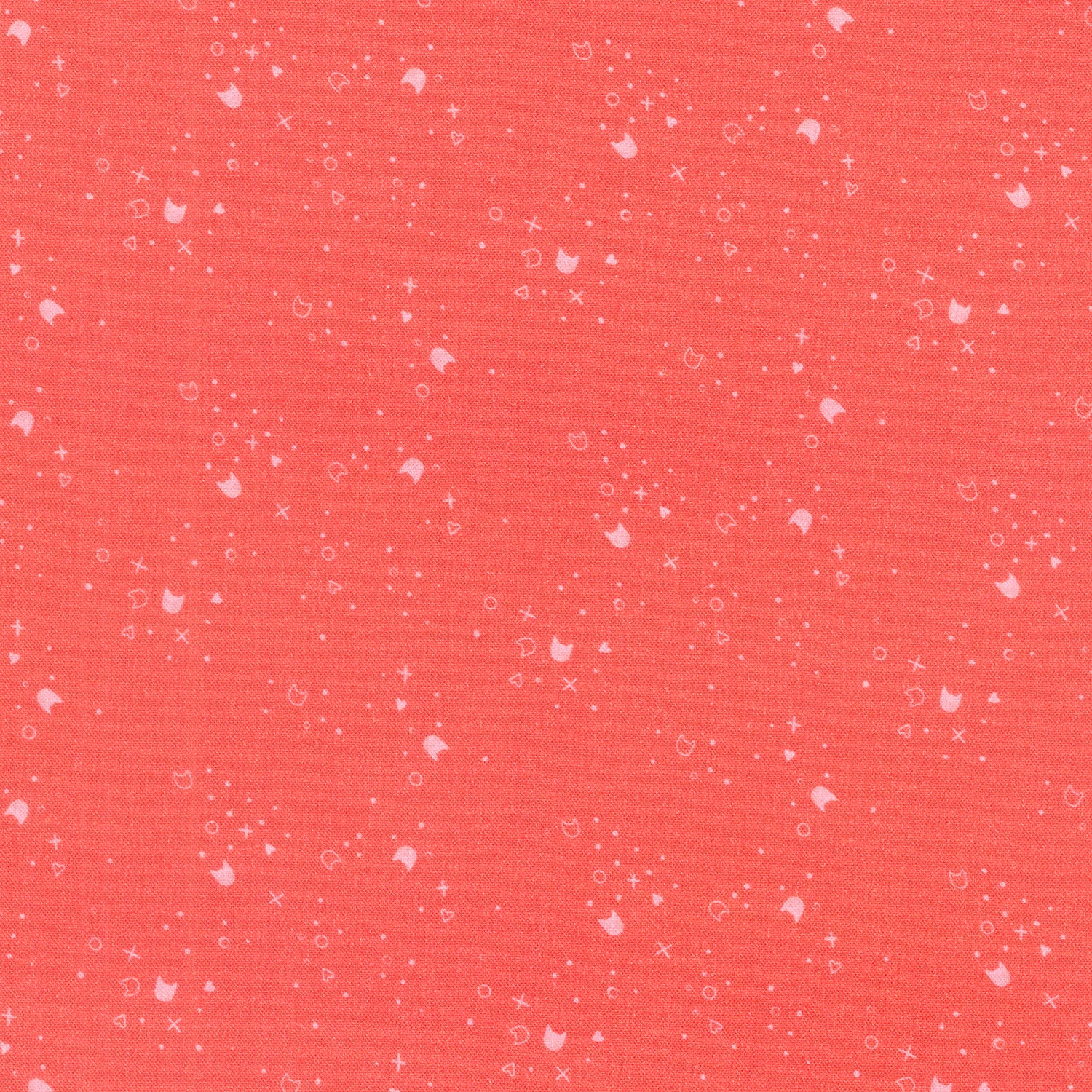 Kitty Litter - Watermelon