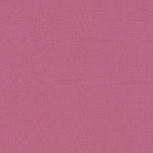 Bella Solids
